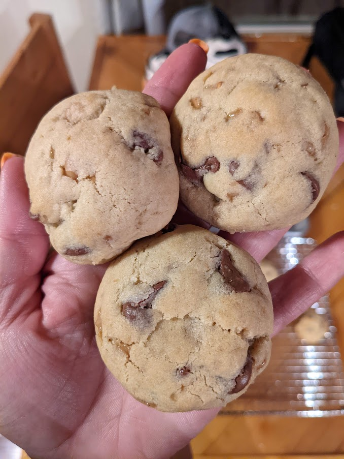 A hand holding three chocolate chip health bits cookies.
